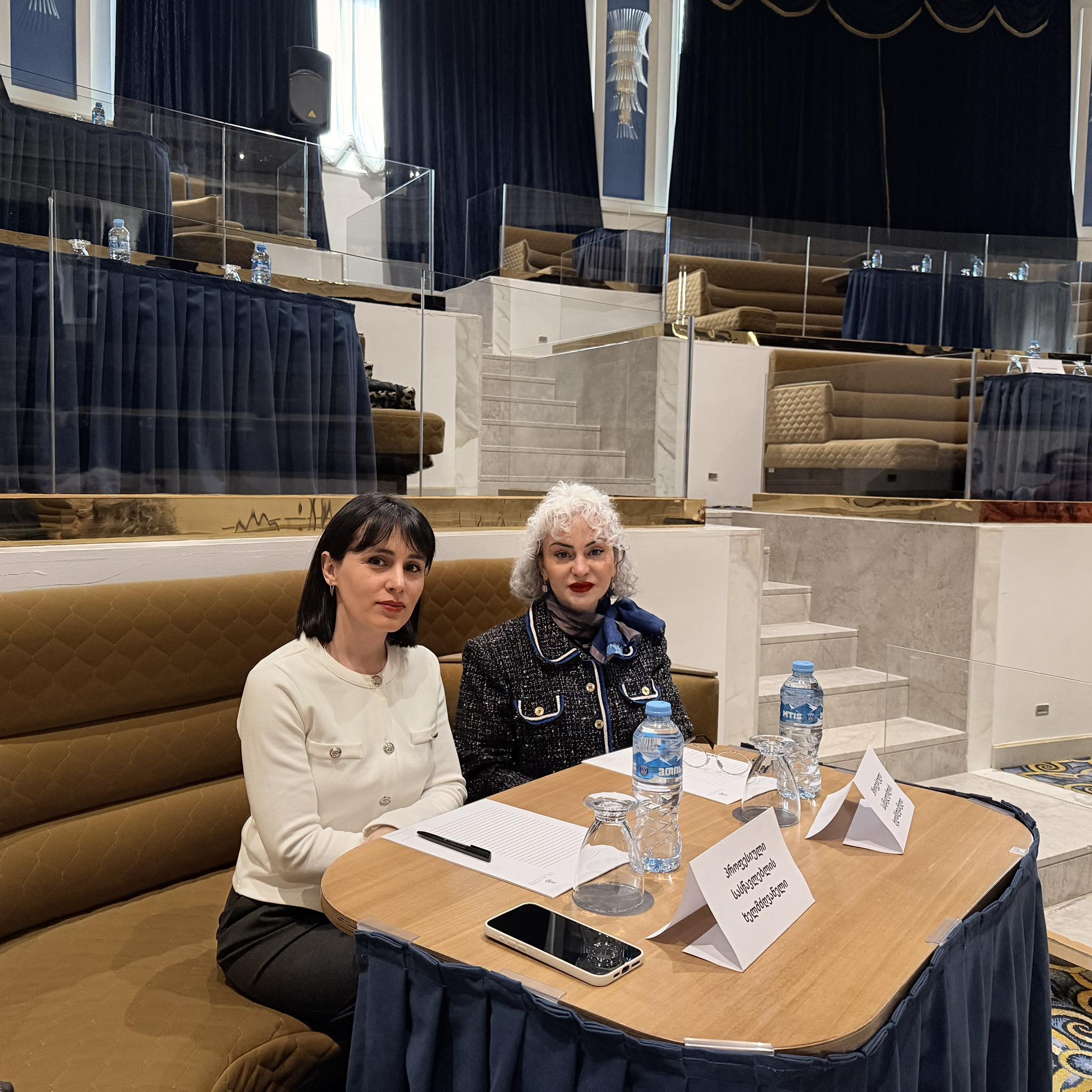 პროექტის „დებატები უკეთესი პროფესიული განათლებისთვის” ფარგლებში დებატების მასწავლებელთა პირველი ეროვნული კონფერენცია