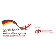 The Deutsche Gesellschaft für Internationale Zusammenarbeit (GIZ) GmbH